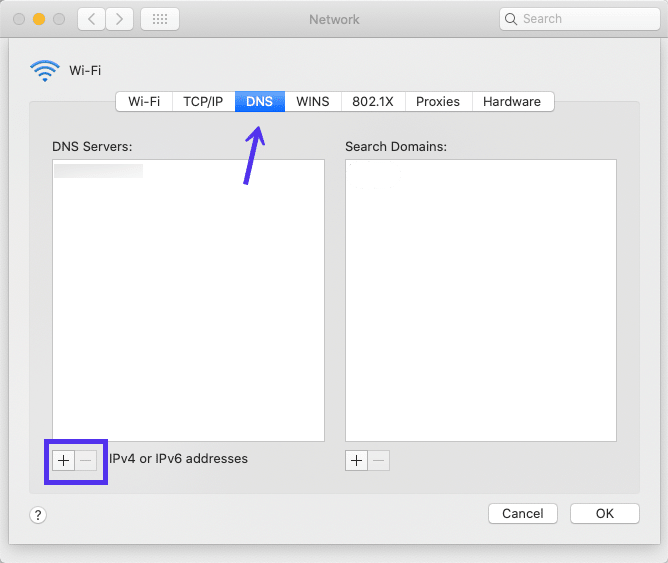 The Network DNS panel in macOS
