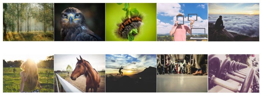 WordPress photo gallery plugins: Envira Gallery