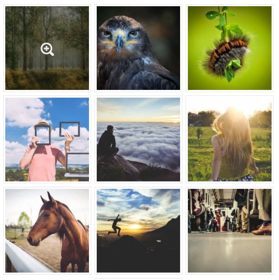 16 Best WordPress Photo Gallery Plugins - Kinsta