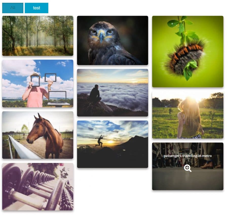 Responsive Lightbox & Gallery – WordPress plugin