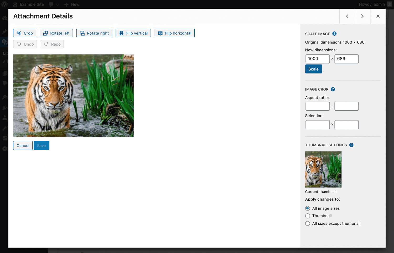 wordpress image editor