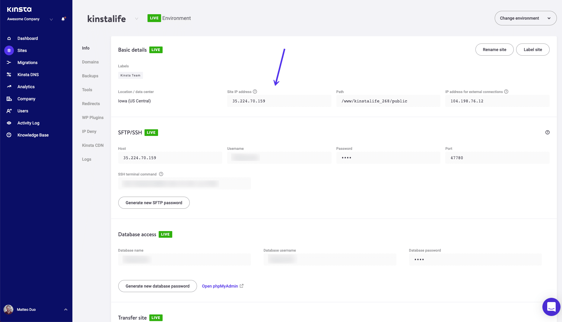 MyKinstaでIPv4アドレスを確認