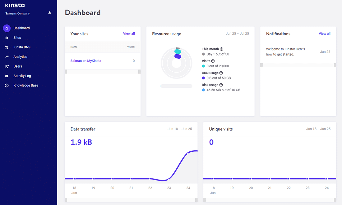 The 'Company Developer' dashboard in MyKinsta