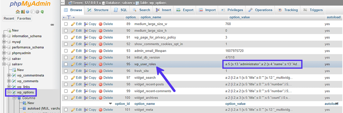 phpMyAdmin showing where the WP database stores the capabilities