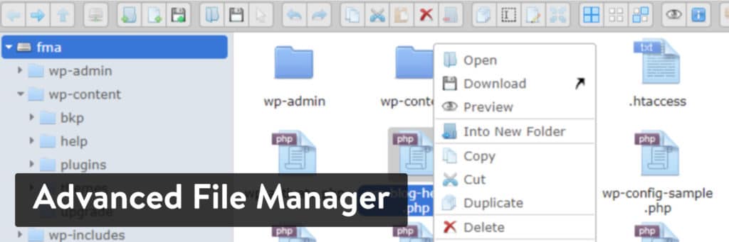 business manager plugin