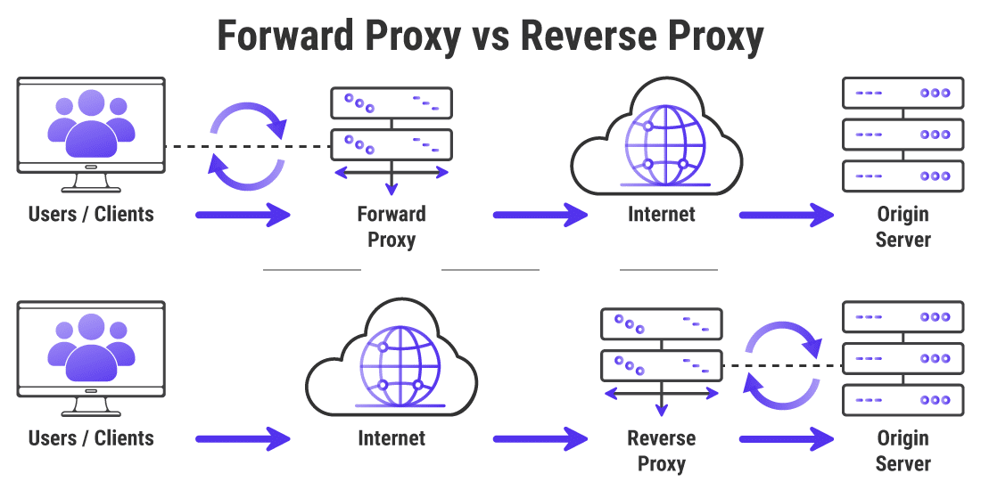 Infographic showing the differences between Forward Proxy vs Reverse Proxy