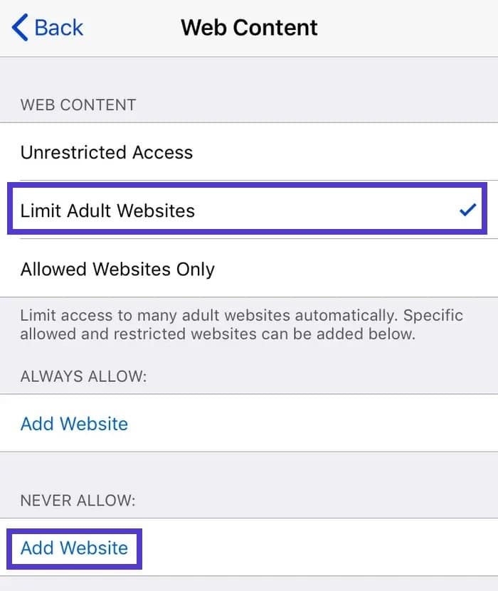 iphone settings web content