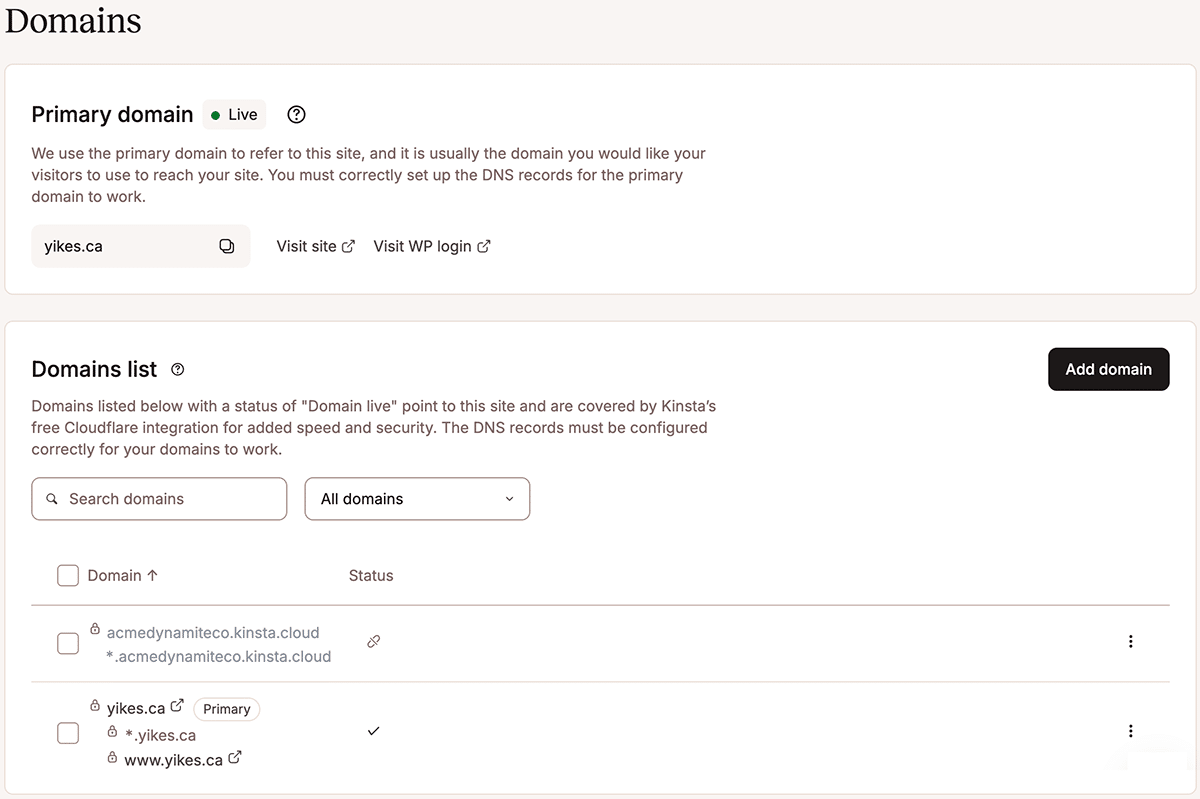 A screenshot of the Domains page in MyKinsta.