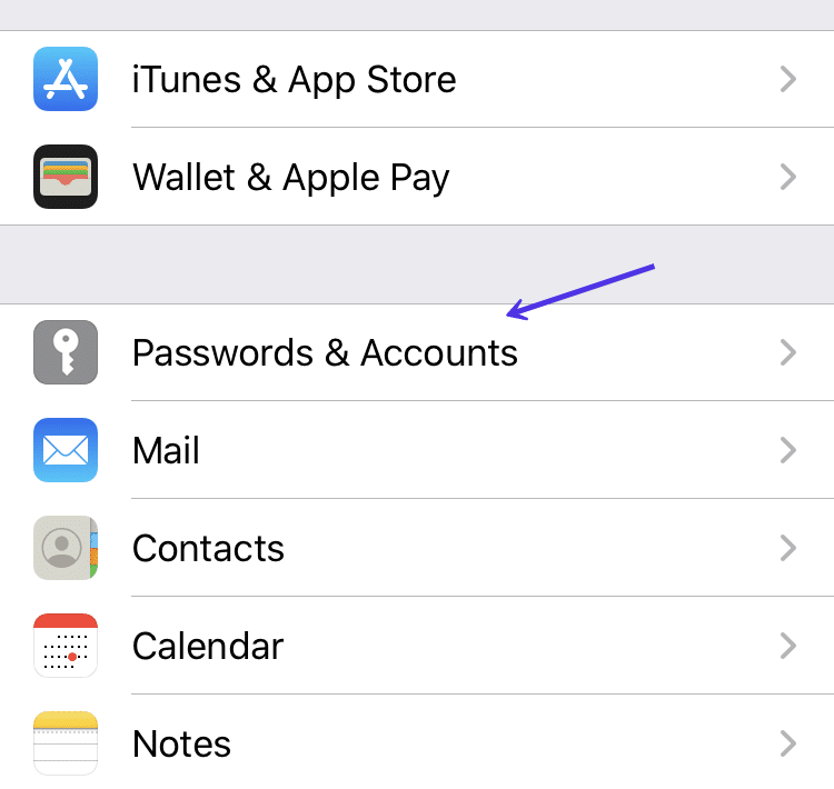 Password and Accounts options in iOS