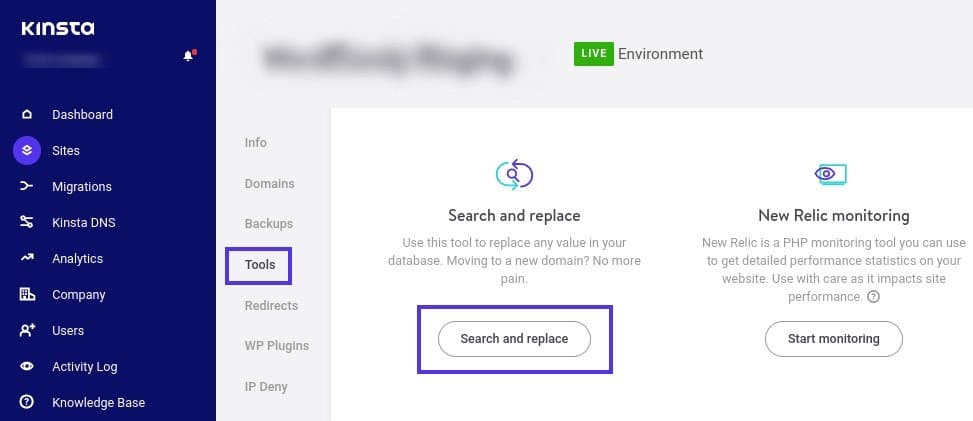 A ferramenta Kinsta Search and Replace.