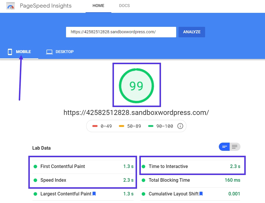 Google PageSpeed-statistik