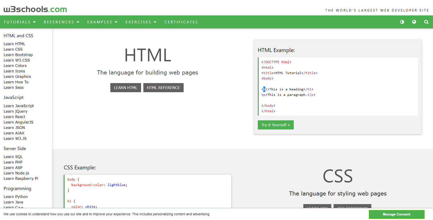 Homepage di W3Schools