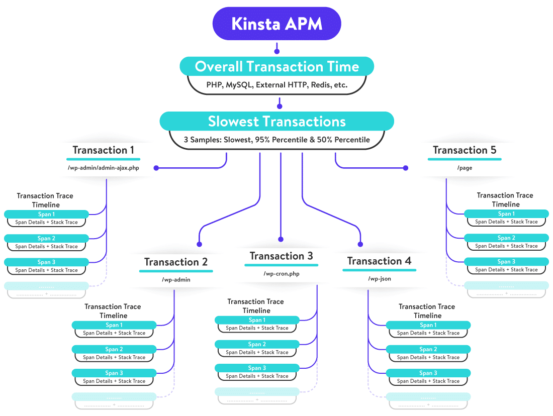 Application Performance Monitoring Tool Why Do You Need It