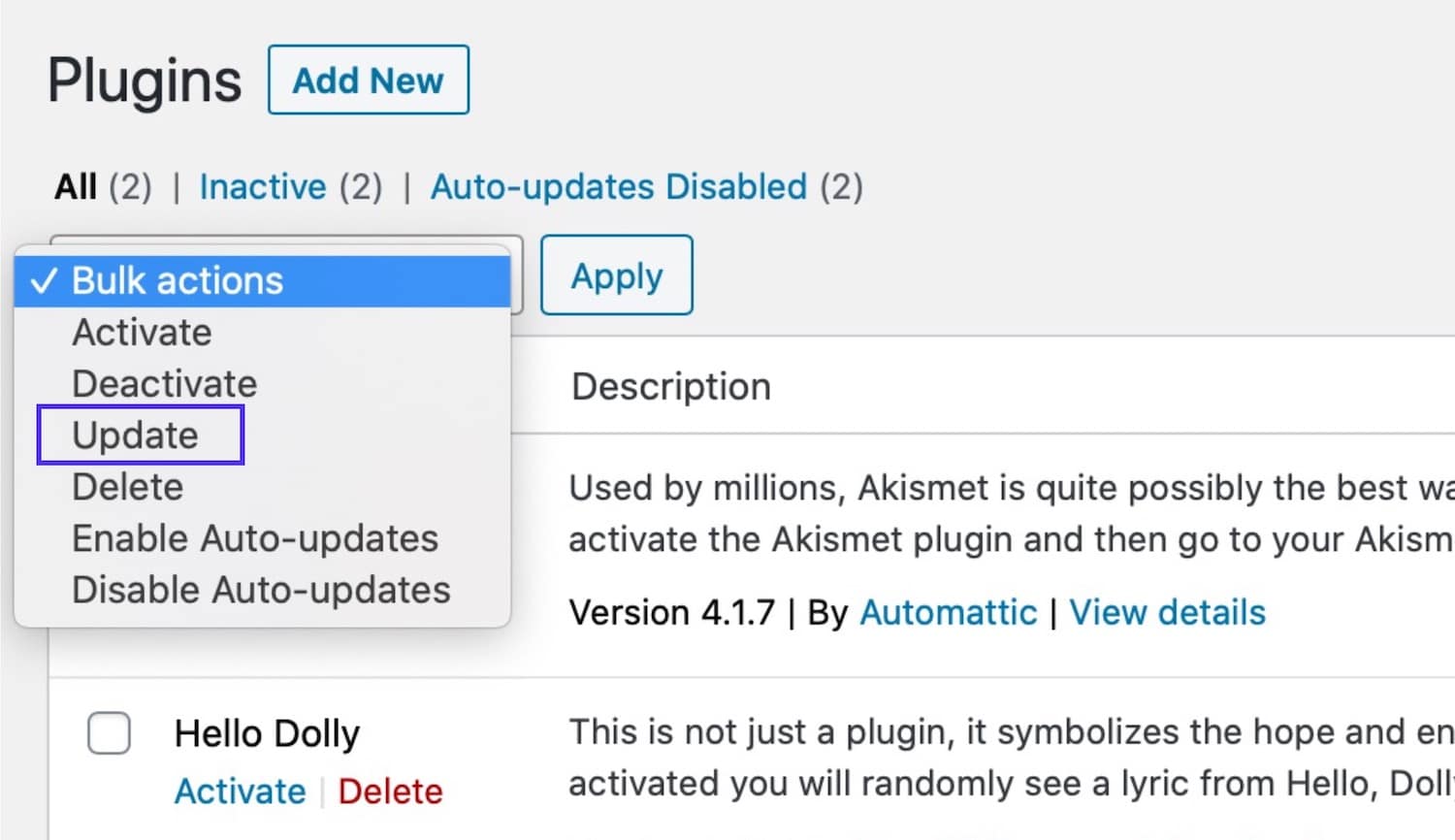 Updating WordPress plugins