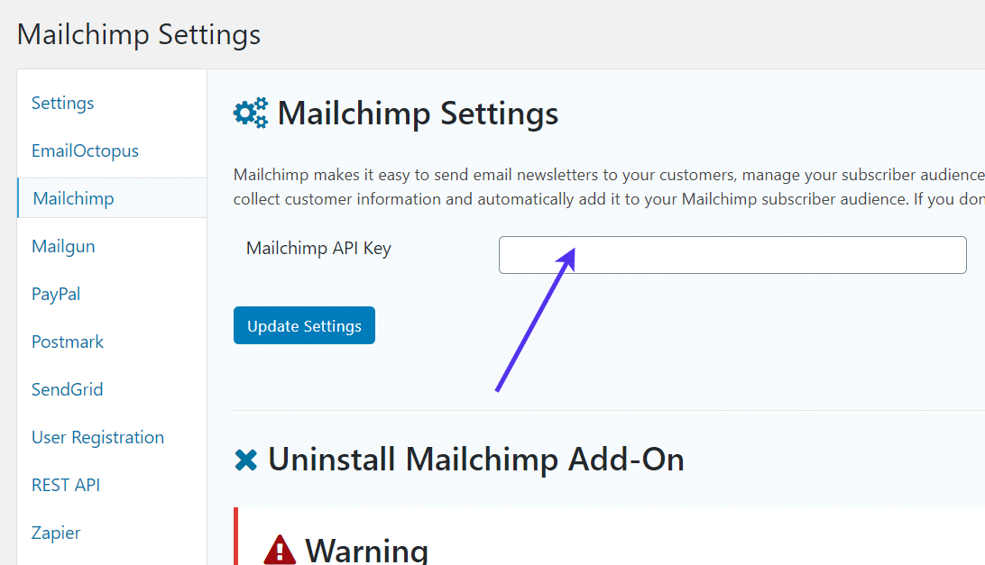 Mailchimps API-Schlüsselfeld