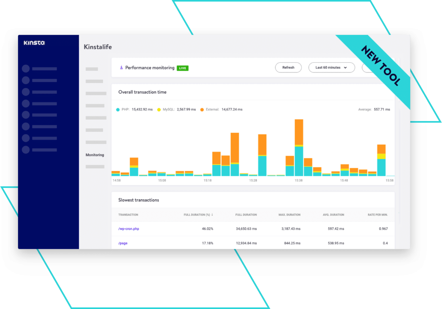 Kinsta® APM Tool - Application Performance Monitoring Tool