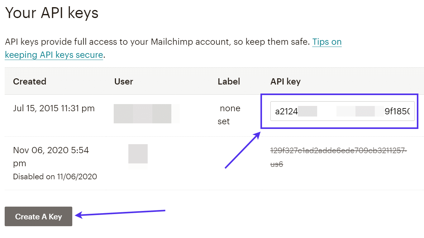 copy the key to put it in WordPress Registration Form