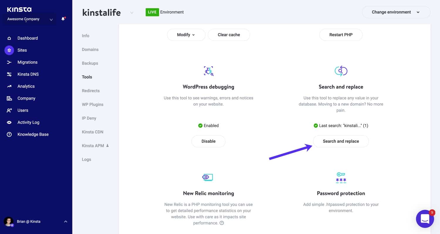 Lo strumento di ricerca e sostituzione in MyKinsta