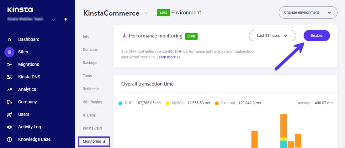 Aktiviere Kinsta APM im MyKinsta Dashboard