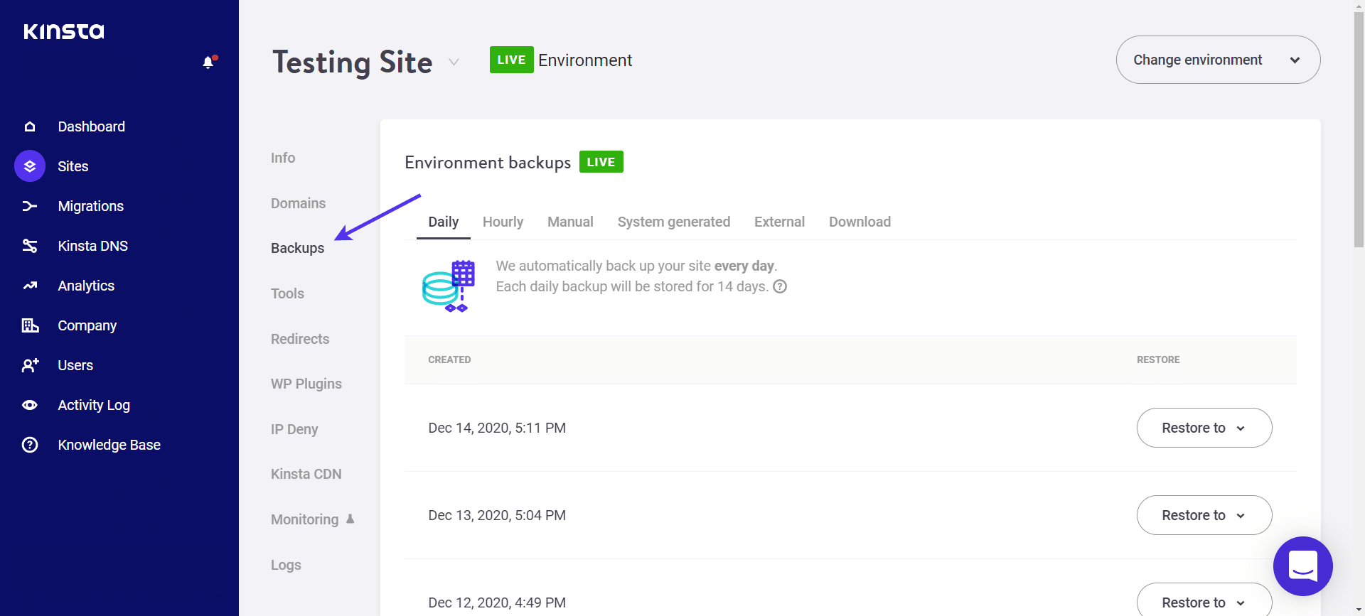 A Kinsta fornece uma variedade de tipos de backup.