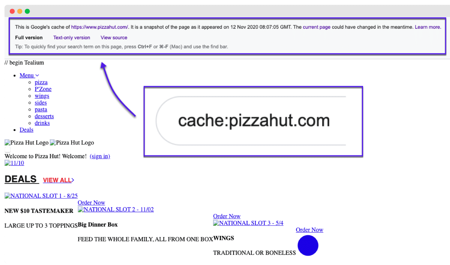 Zeige schnell die gecachte Version einer Webseite an