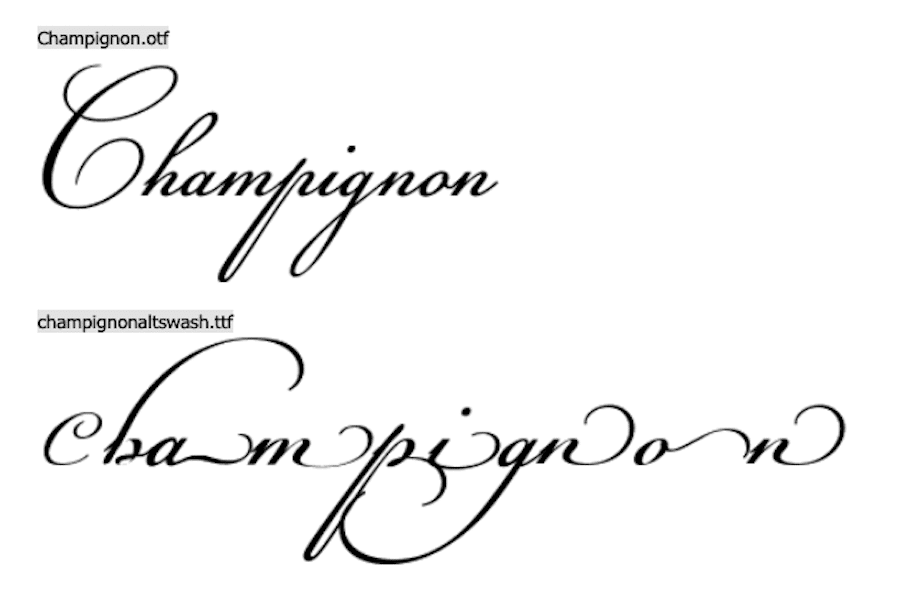 47 Calligraphy Fonts For Adding Style And Interest To Your Site