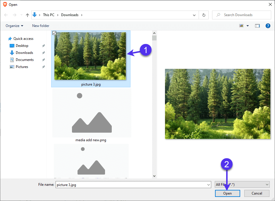 Vælg en fil, der skal uploades til dit WordPress-websted