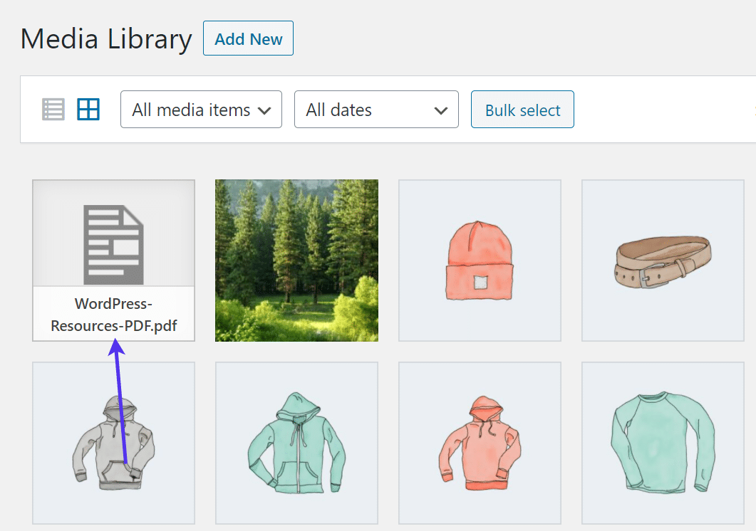 Search for a file in the WordPress media library.