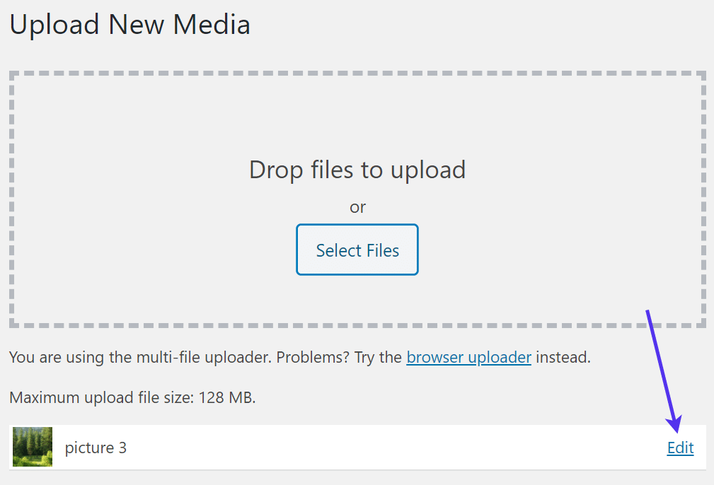 Edit uploaded media files.