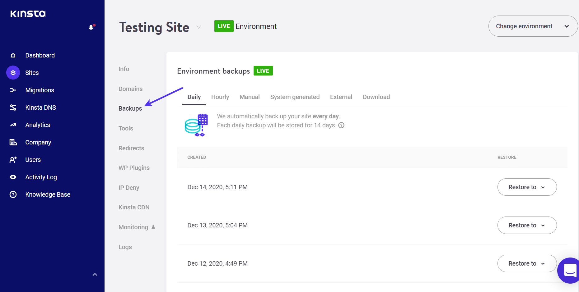 Backup options in MyKinsta.