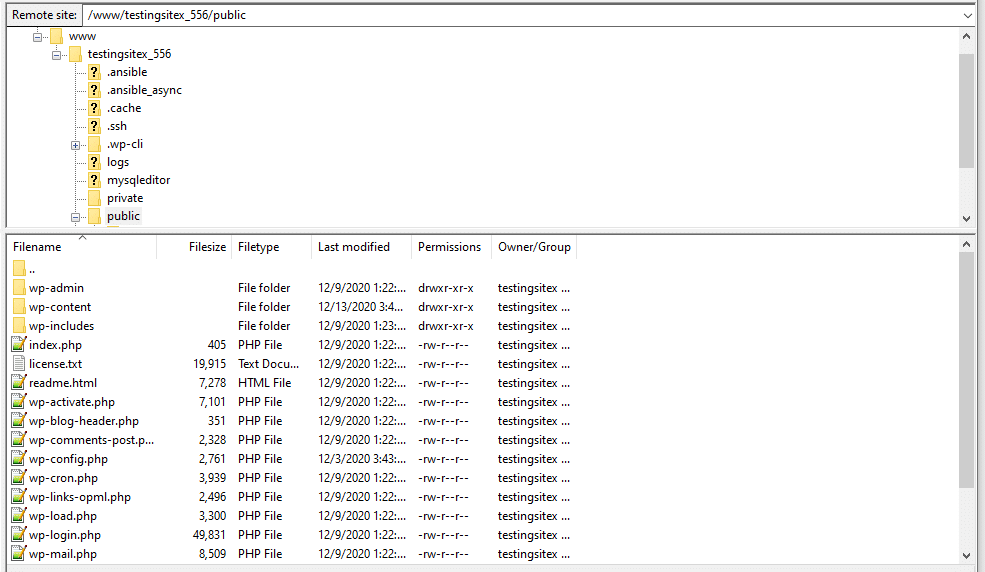 Los sitios alojados en Kinsta no tienen un archivo .htaccess.