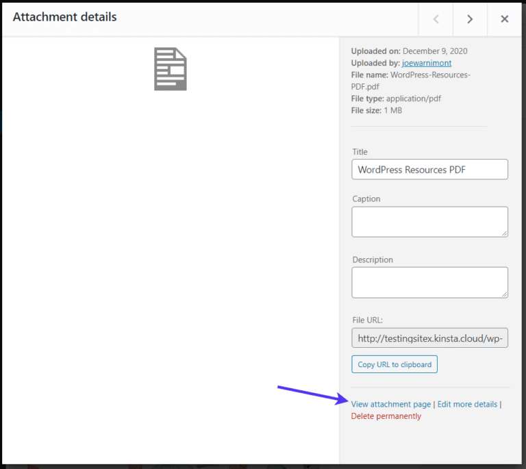 A Comprehensive Guide on WordPress Files and How to Use Them