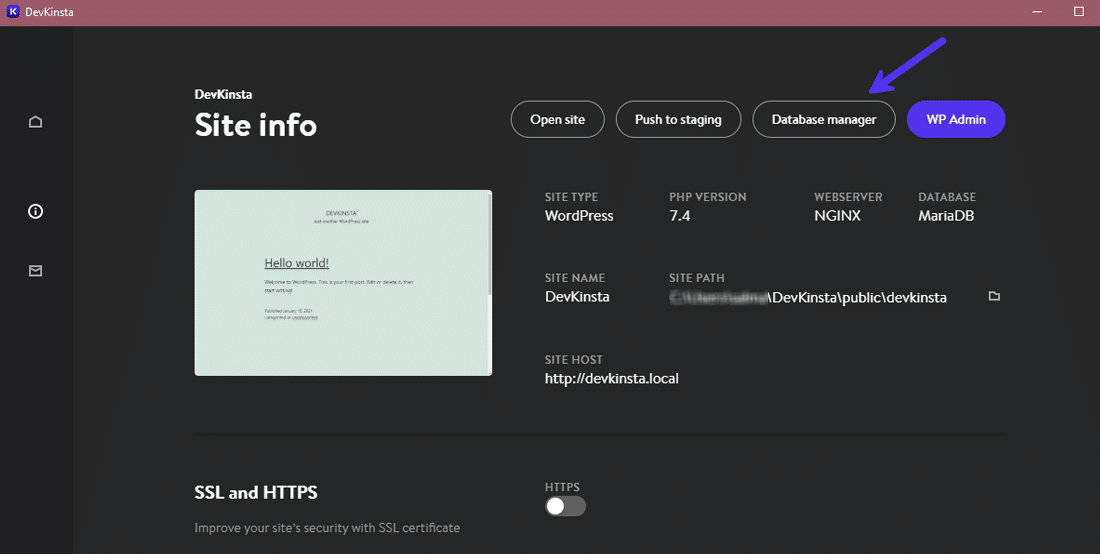 Accessing DevKinsta’s database manager
