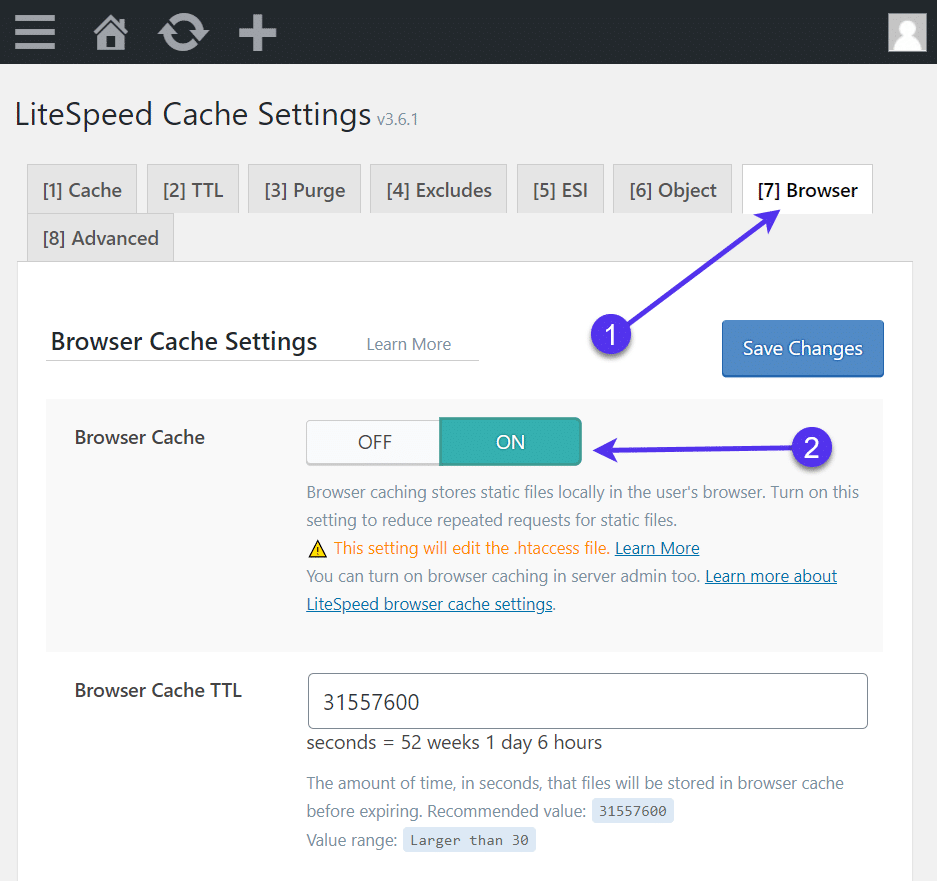 Onglet « Réglages de cache du navigateur » dans LiteSpeed Cache