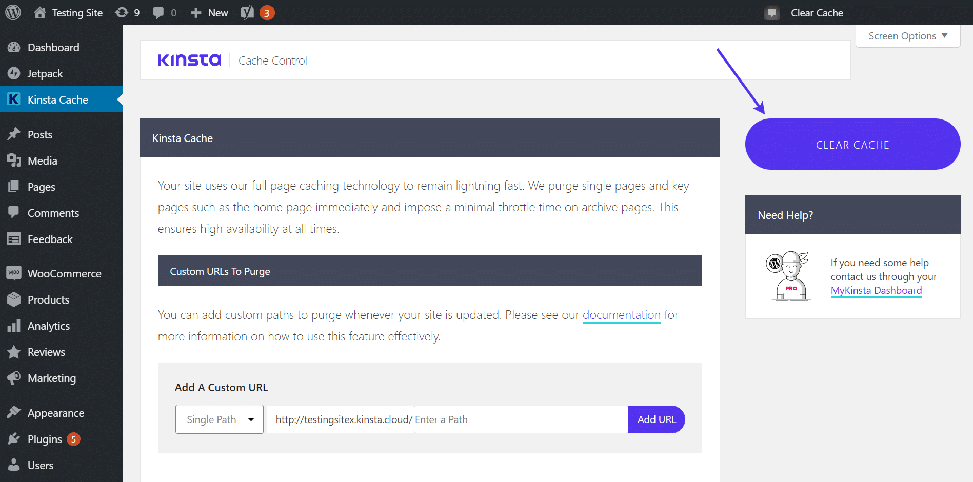 Botón "Borrar caché" en el panel de control de WordPress de Kinsta Cache