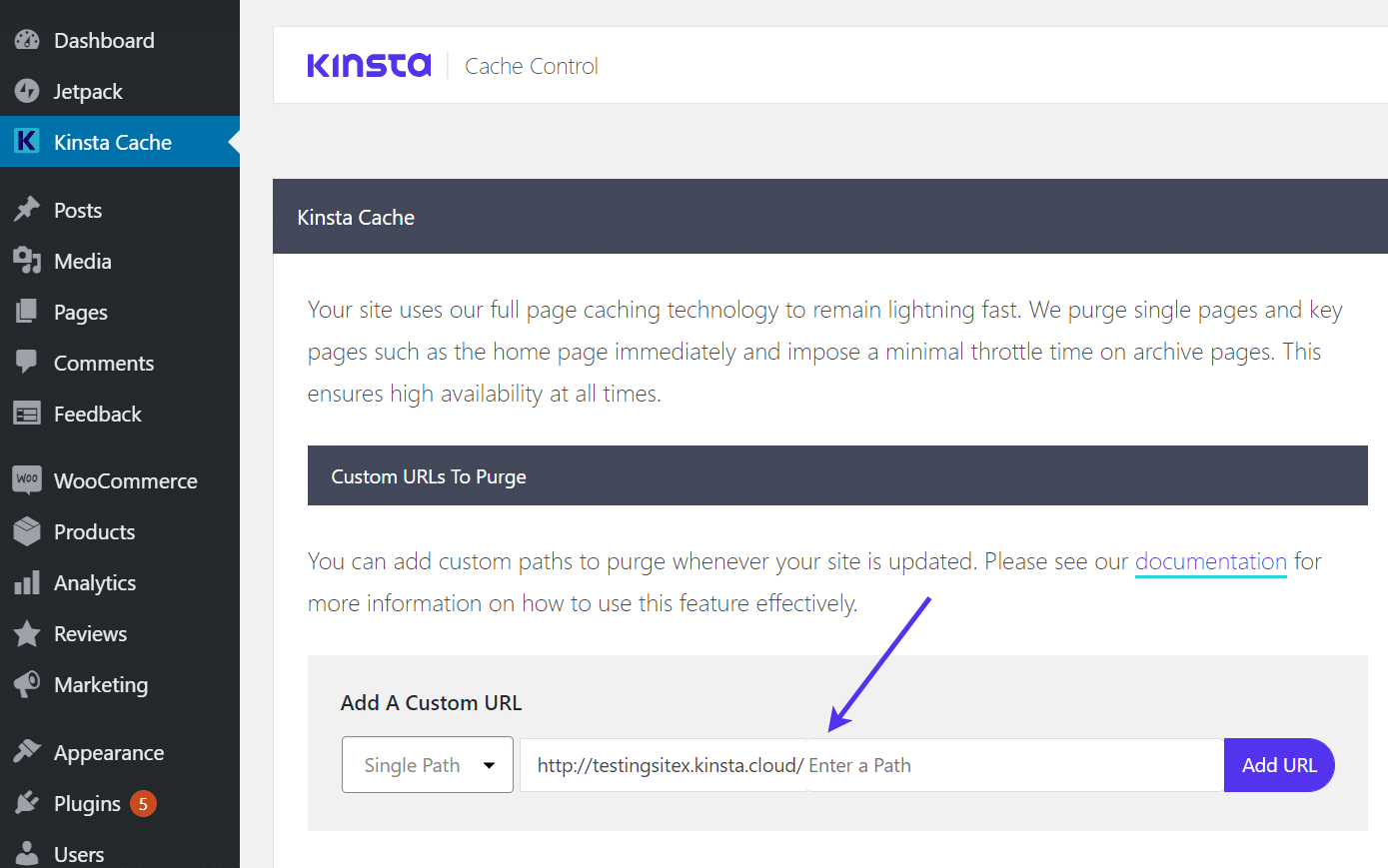 'Añadir una URL personalizada' para purgar la caché de Kinsta automáticamente