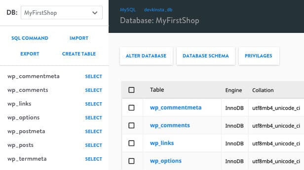 Gestionnaire de base de données DevKinsta