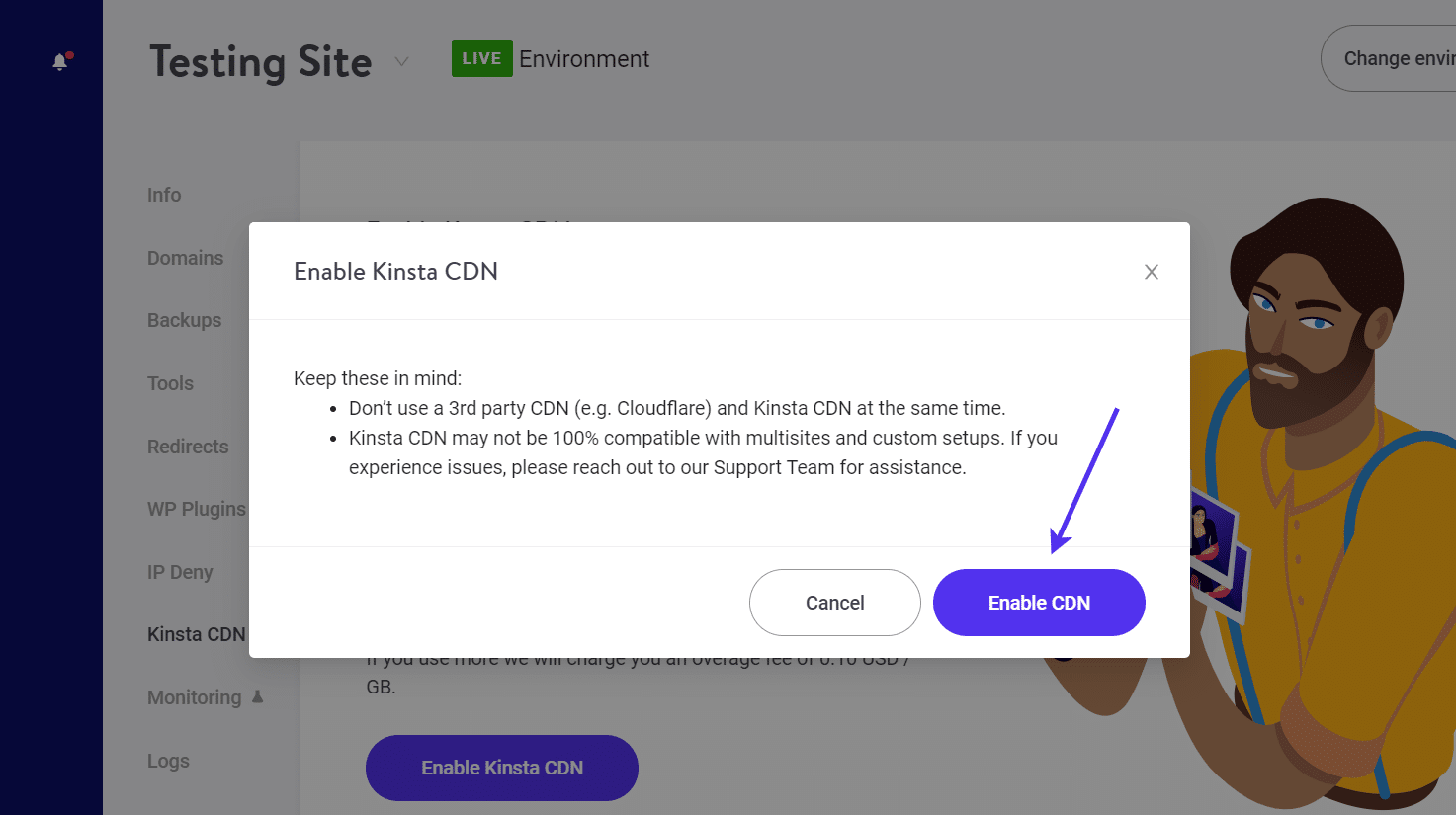 Habilitação do Kinsta CDN