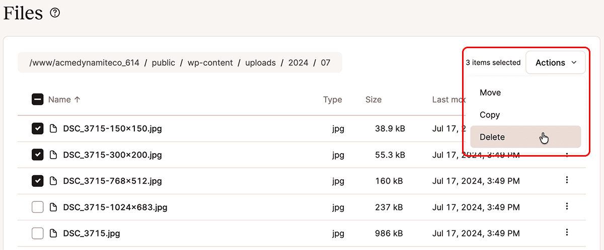 A screenshot of the MyKinsta file manager with the Actions menu activated.
