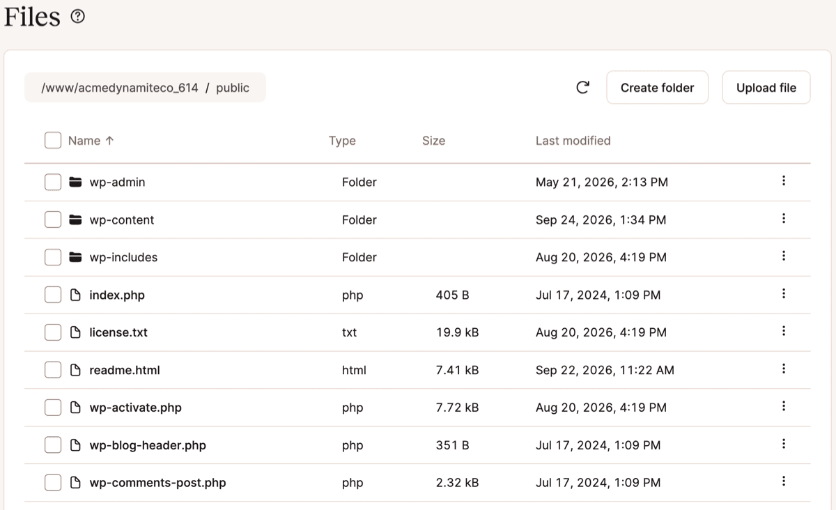 A screenshot showing part of the initial Files display in MyKinsta.