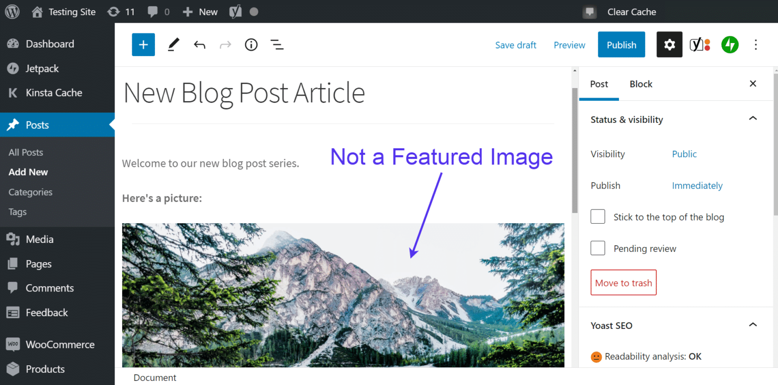 Fix WordPress Featured Image Not Showing Properly (Or Not At All)