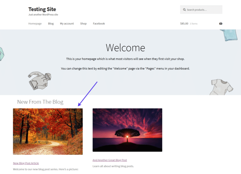 Fix WordPress Featured Image Not Showing Properly (Or Not At All)