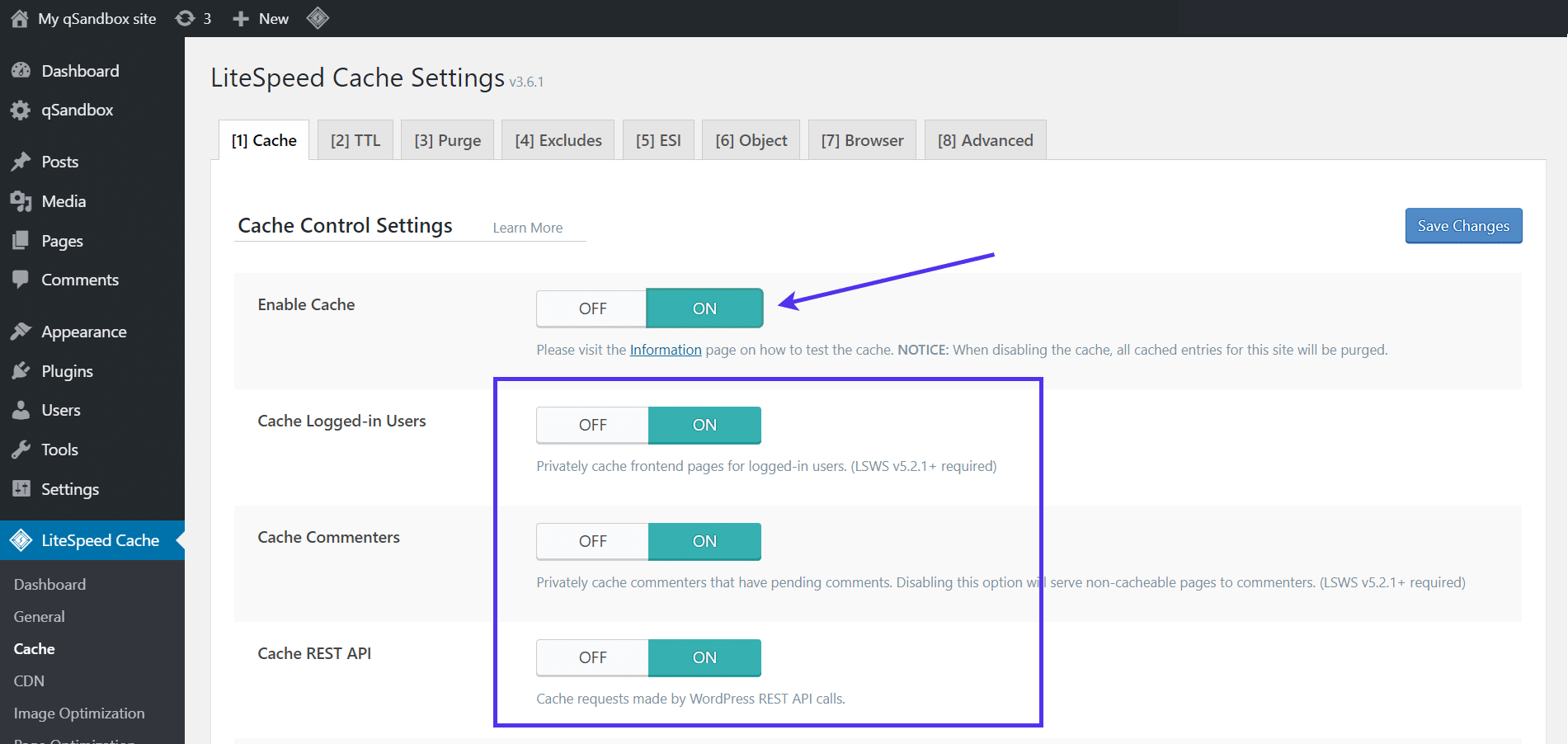 Option 'Cache aktivieren' in den LiteSpeed Cache Einstellungen