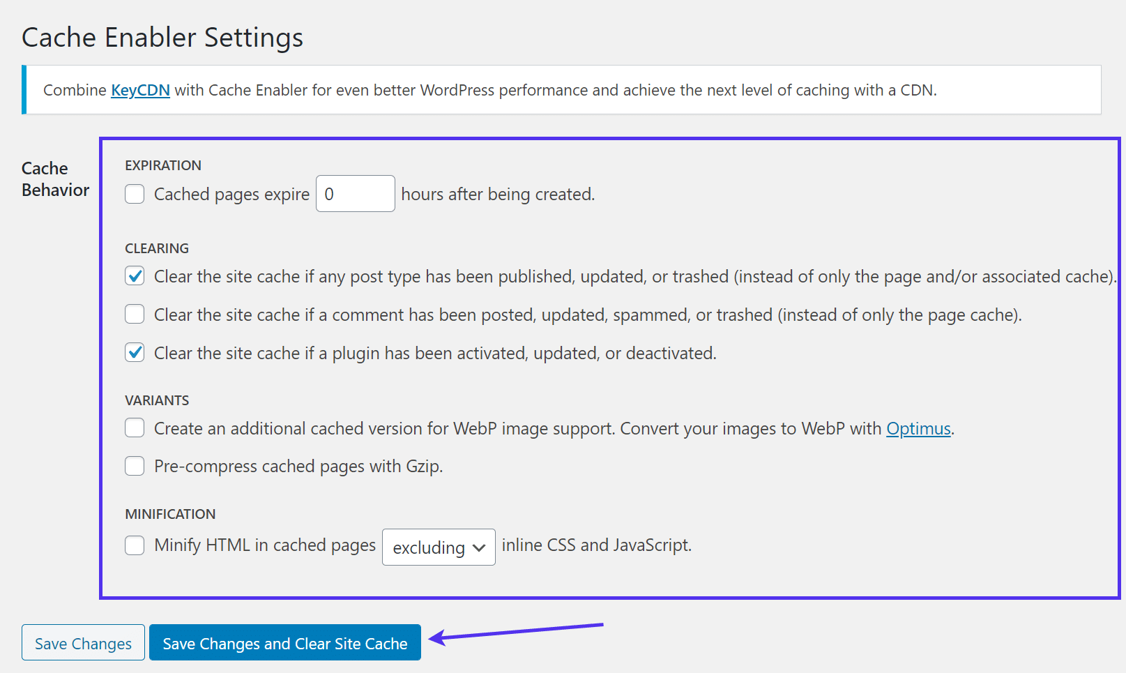 Panel de configuración de la habilitación de la caché