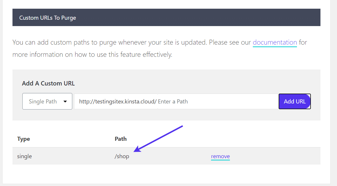 Type de chemin pour les URL personnalisées afin de purger le cache