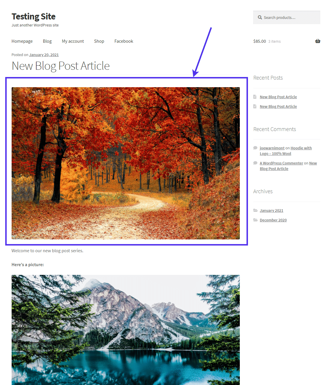 Fix WordPress Featured Image Not Showing Properly (Or Not At All)