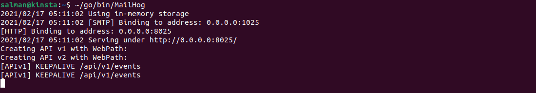 MailHog in esecuzione su Linux (Ubuntu)