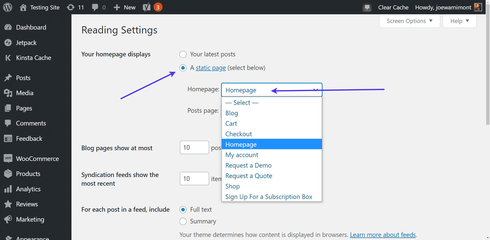 Choose the static homepage