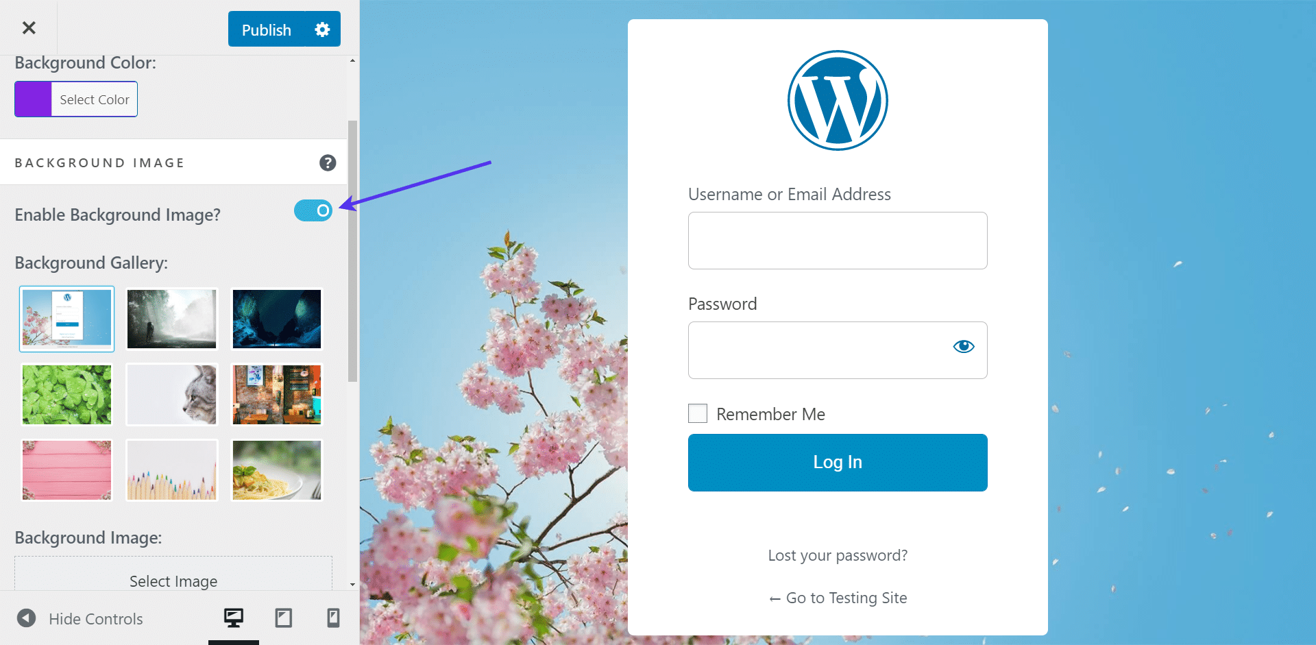 Habilitar a imagem de fundo do WordPress