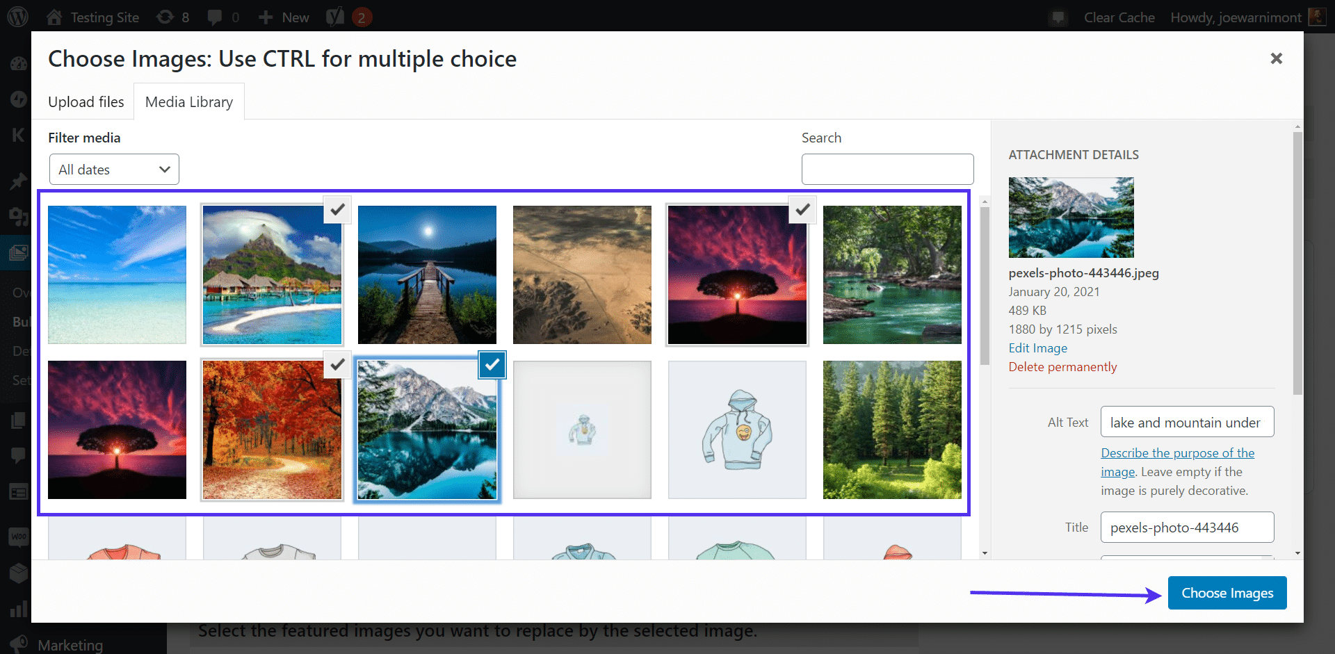 Choose the images to bulk edit
